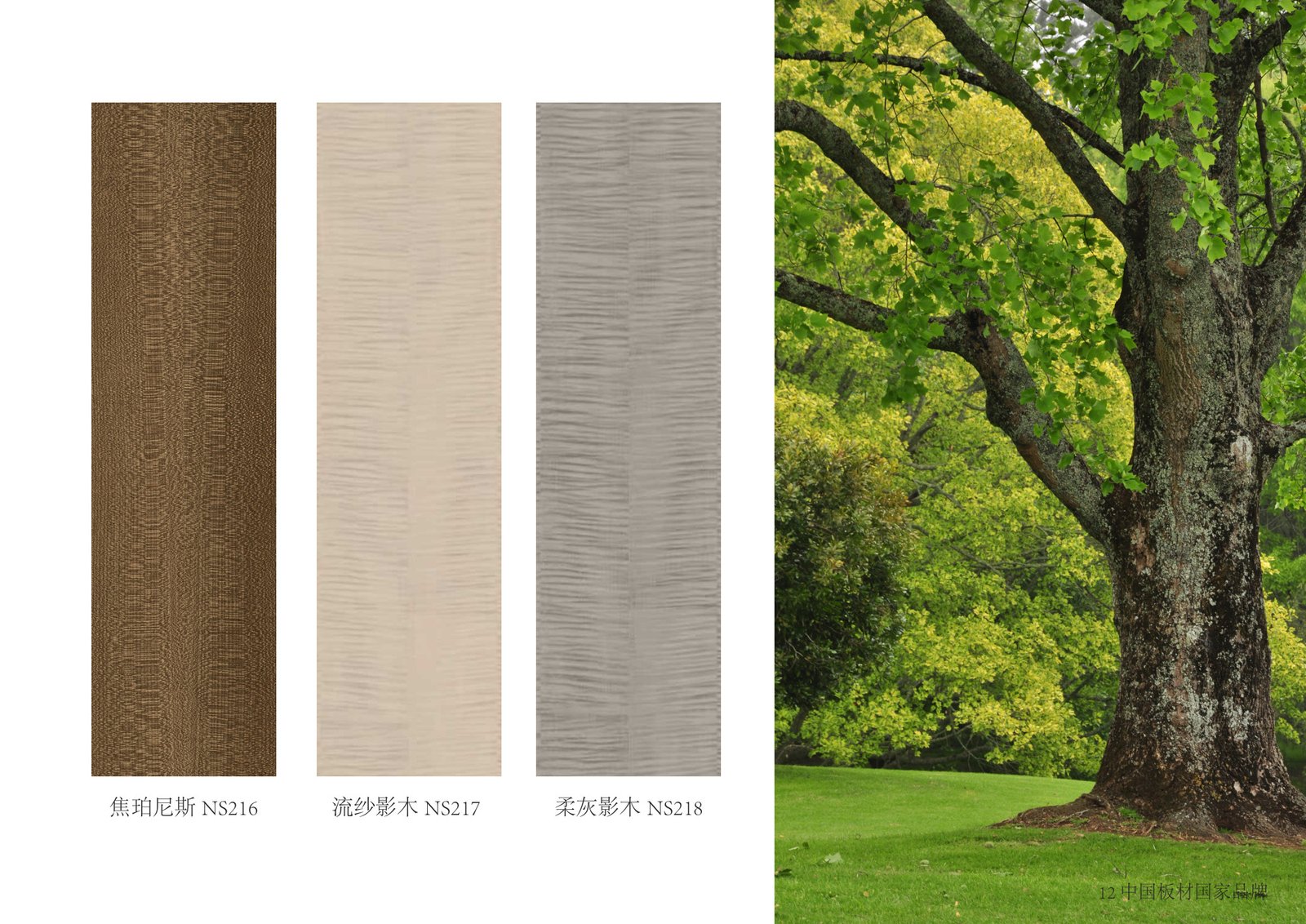 Nearkudos x Schattdecor Joint Color Card - Image 16
