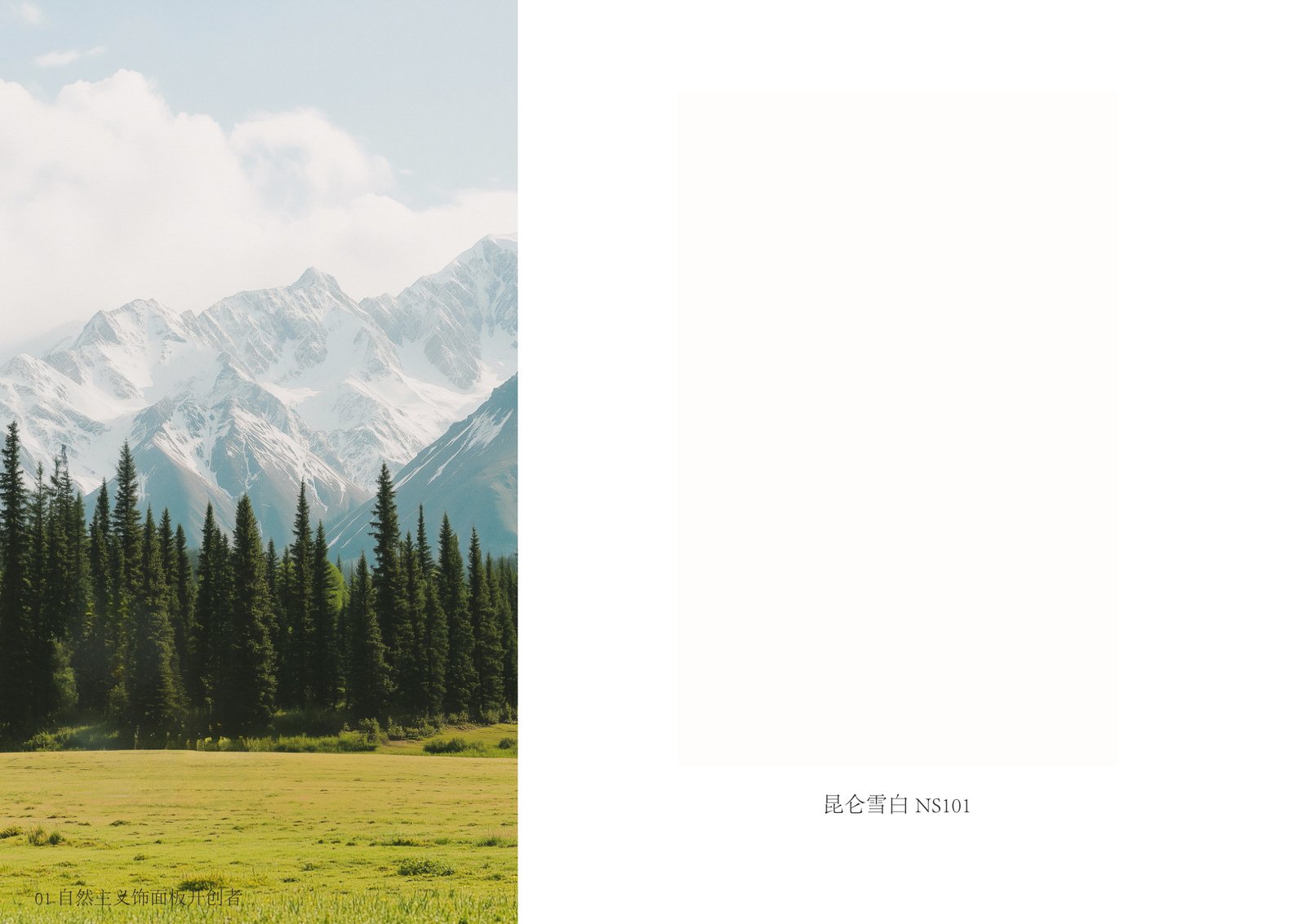Nearkudos x Schattdecor Joint Color Card - Image 5